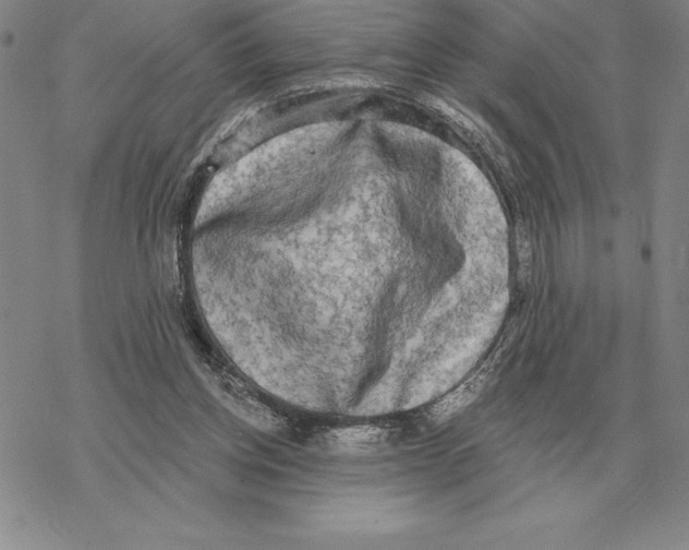 X0000069380158200606091700