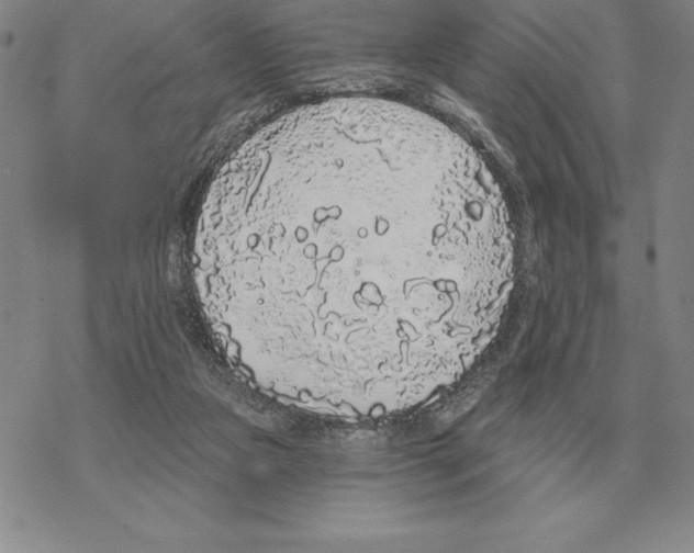 X0000069380161200606091700