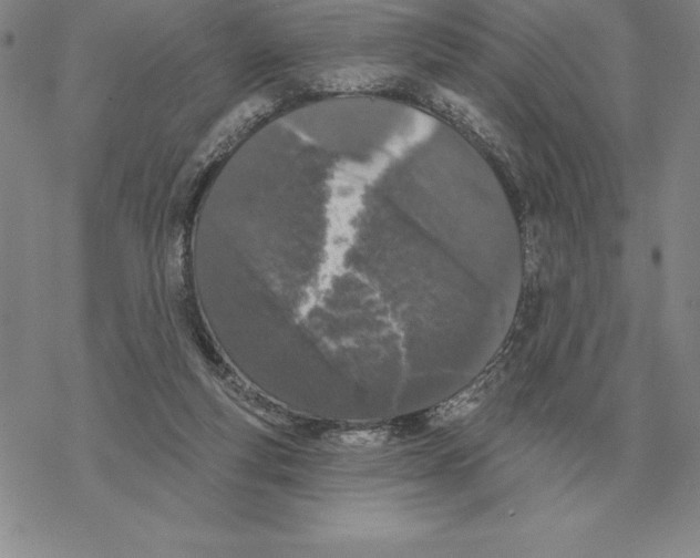 X0000069380163200606091700