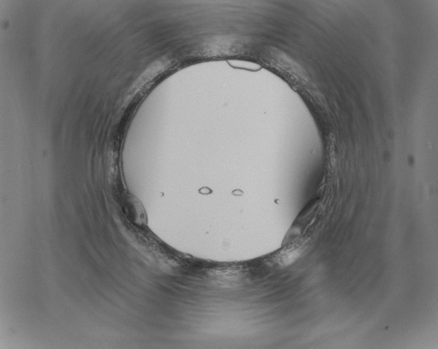 X0000069380164200606091700