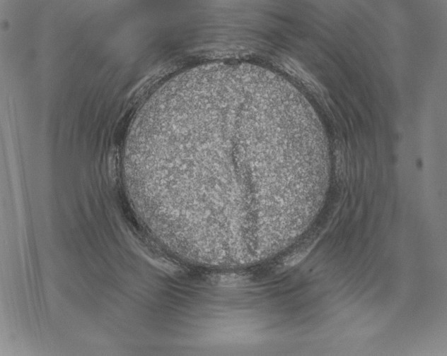 X0000069380165200606091700