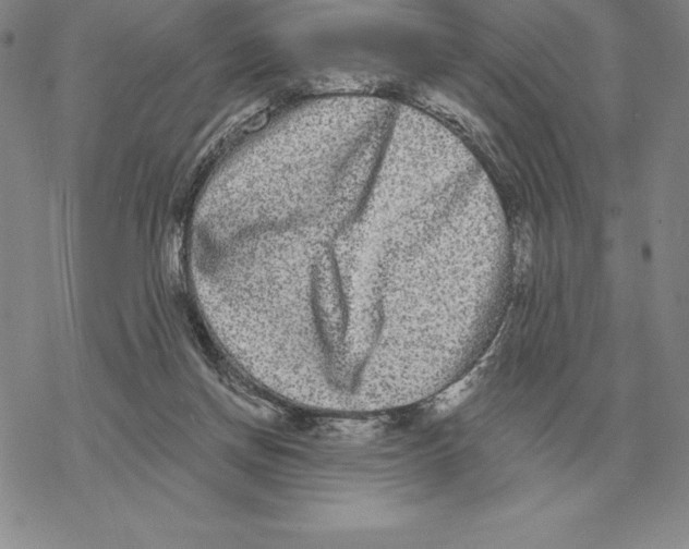 X0000069380166200606091700