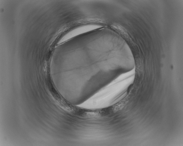 X0000069380167200606091700