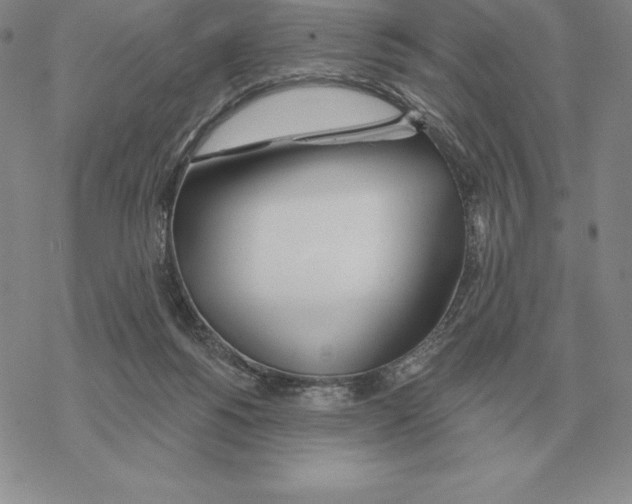 X0000069380168200606091700