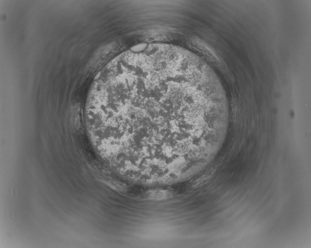 X0000069380169200606091700