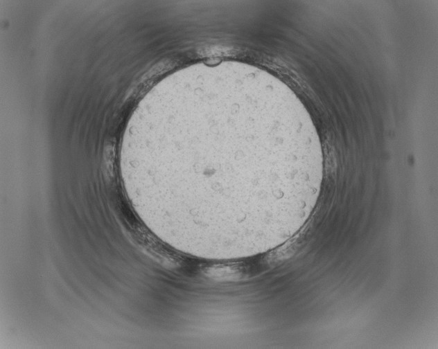 X0000069380171200606091700