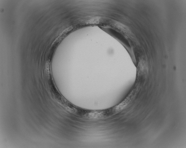 X0000069380172200606091700