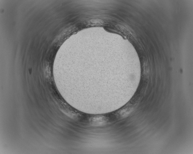 X0000069380173200606091700