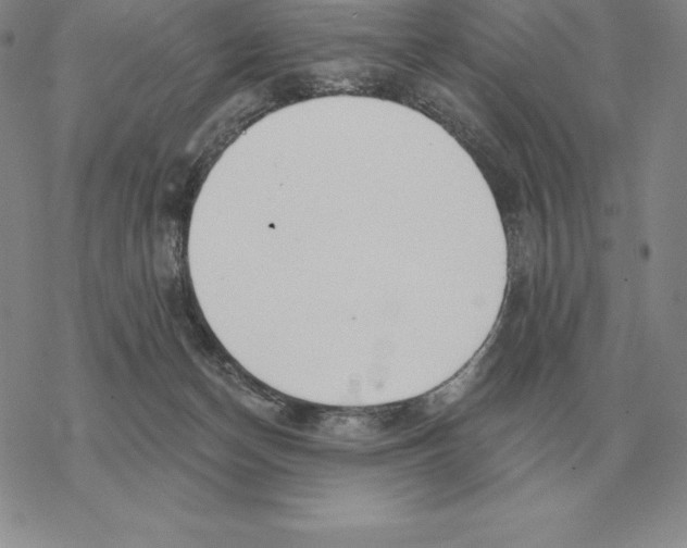 X0000069380174200606091700