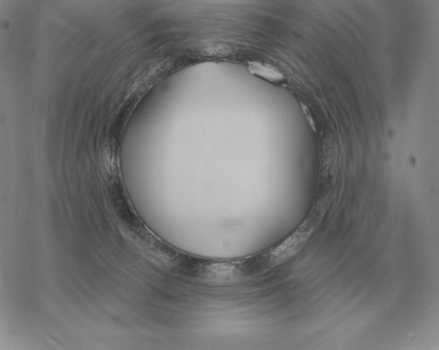 X0000069380176200606091700