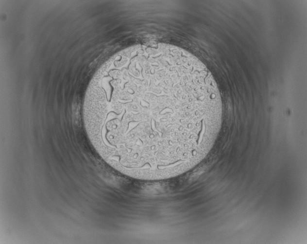 X0000069380177200606091700