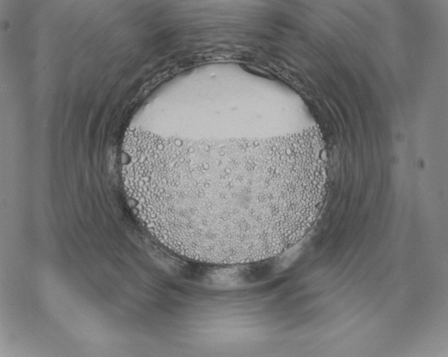 X0000069380178200606091700