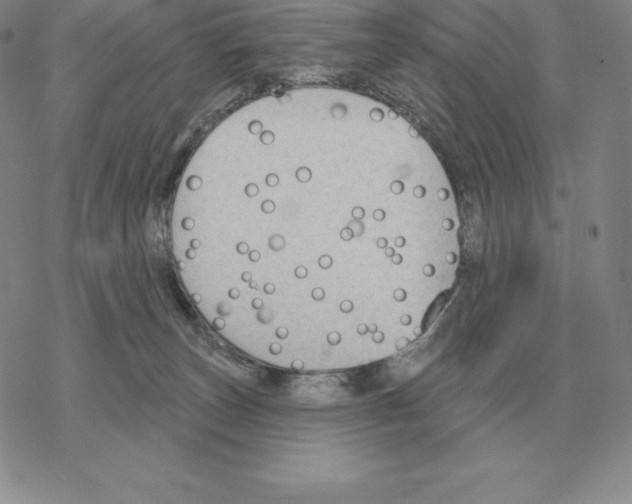 X0000069380179200606091700