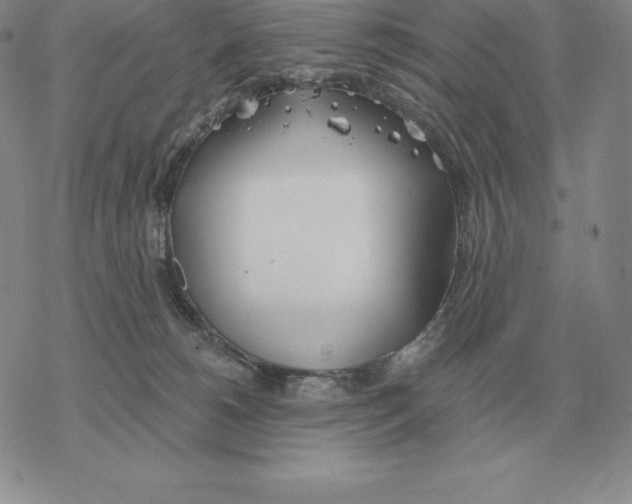 X0000069380180200606091700