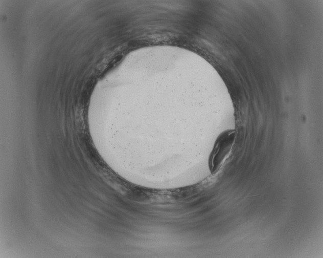 X0000069380182200606091700