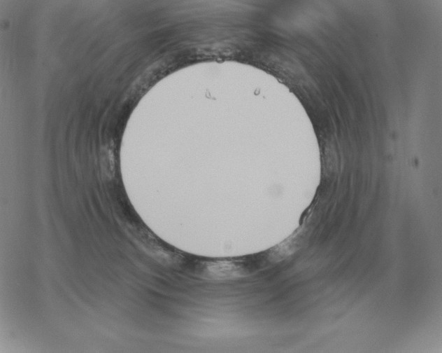 X0000069380183200606091700