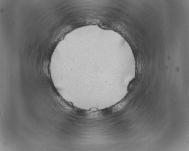 X0000069380185200606091700