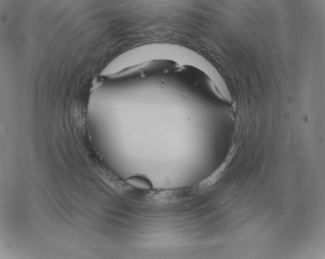 X0000069380186200606091700