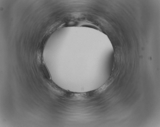 X0000069380188200606091700