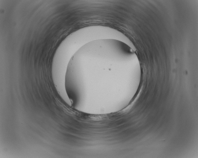 X0000069380190200606091700