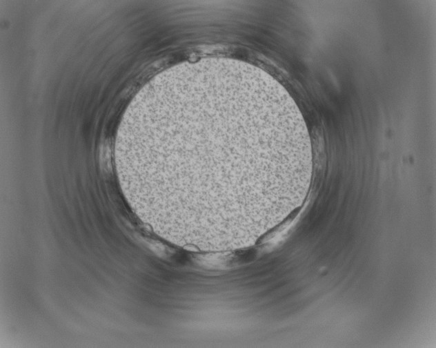 X0000069380191200606091700