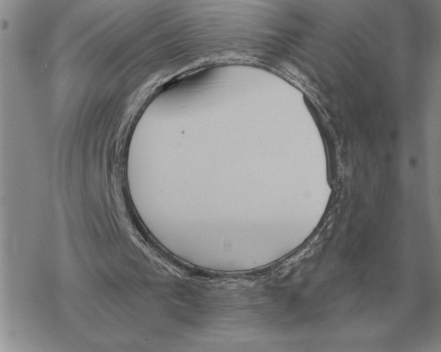 X0000069380193200606091659