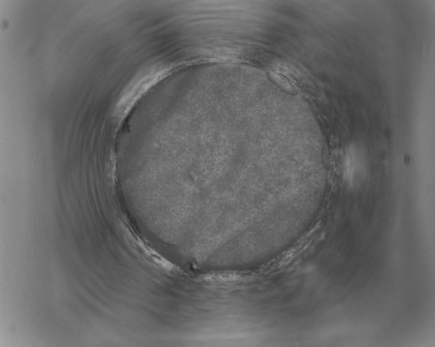 X0000069380194200606091659