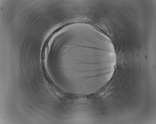 X0000069380196200606091659