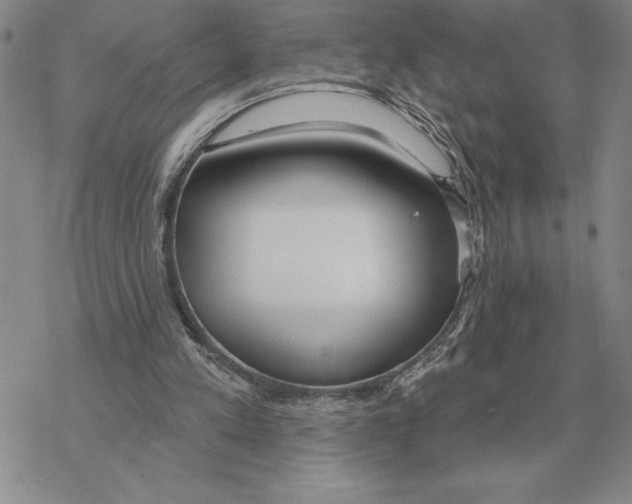 X0000069380197200606091659