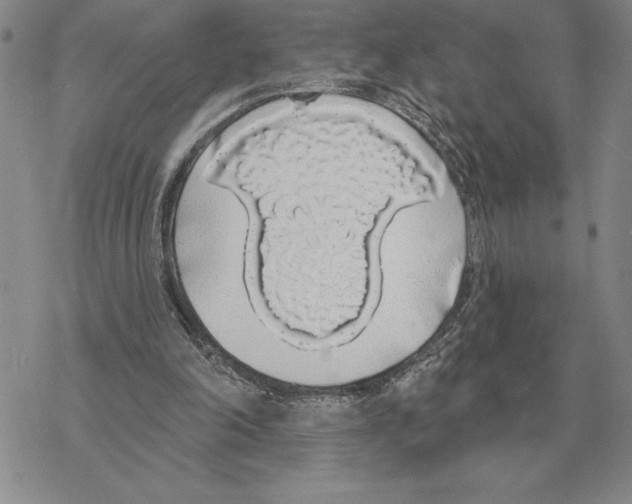 X0000069380198200606091659