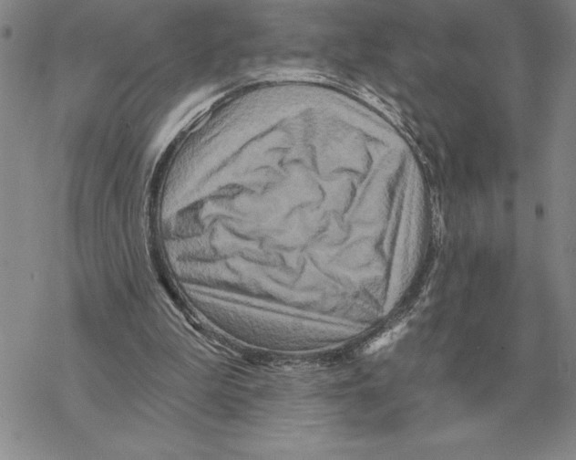 X0000069380199200606091659