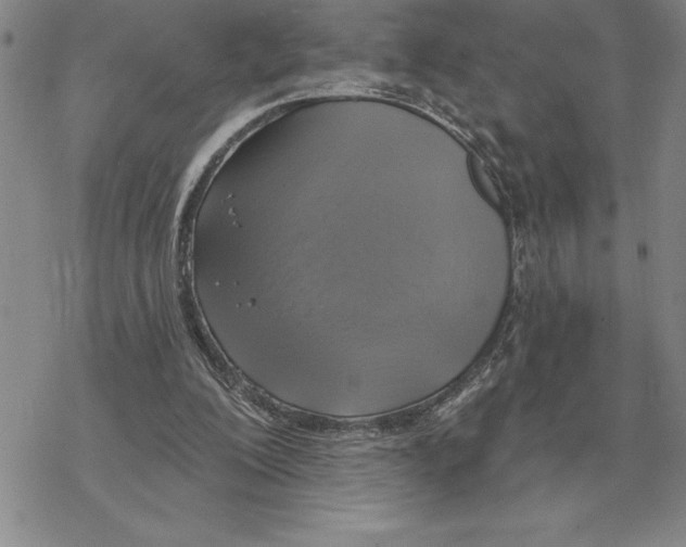 X0000069380200200606091659