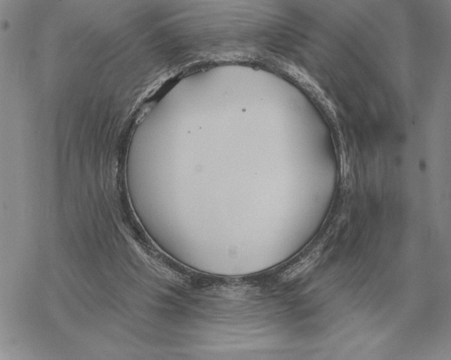 X0000069380201200606091659