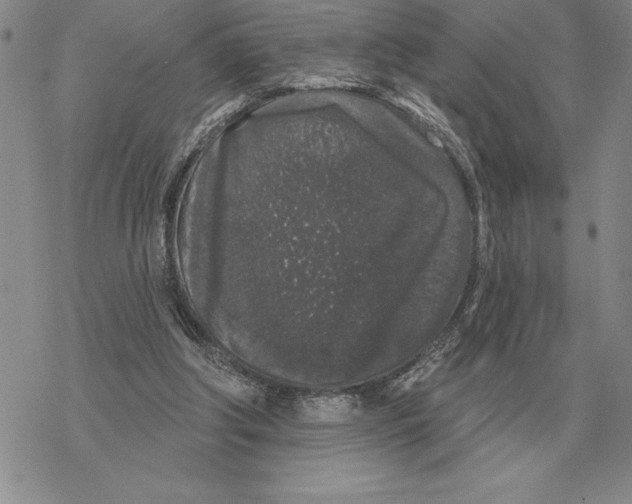 X0000069380202200606091659