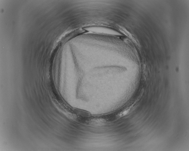 X0000069380203200606091659