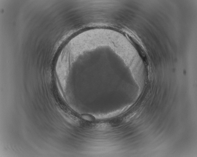 X0000069380204200606091659