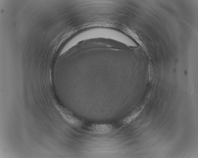 X0000069380205200606091659