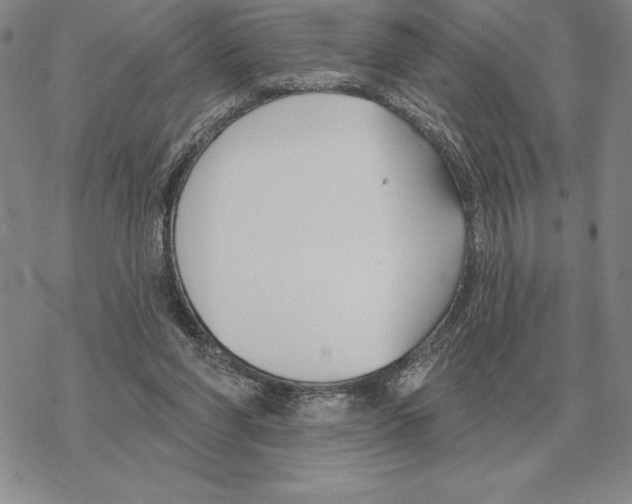 X0000069380206200606091659