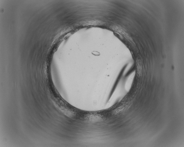 X0000069380207200606091659