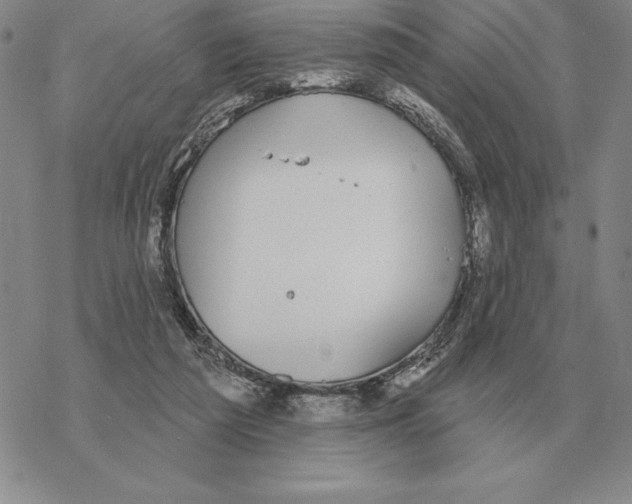 X0000069380209200606091659