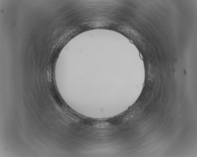 X0000069380210200606091659