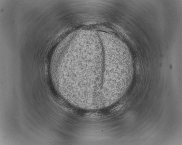 X0000069380211200606091659