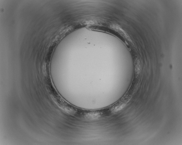 X0000069380213200606091659