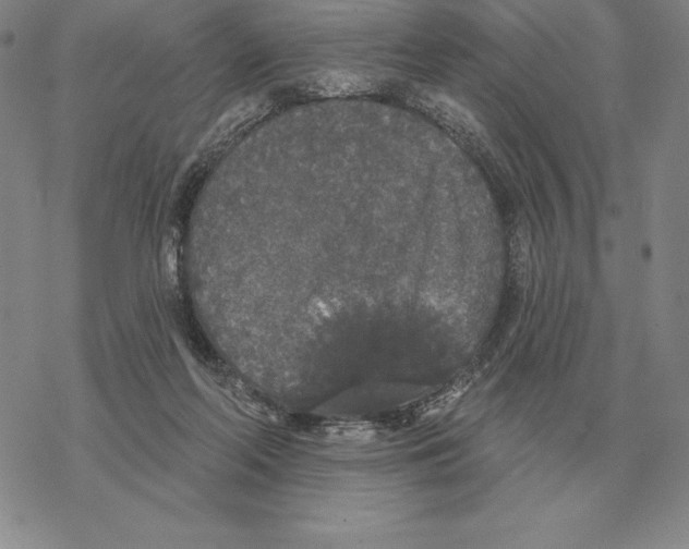 X0000069380214200606091659