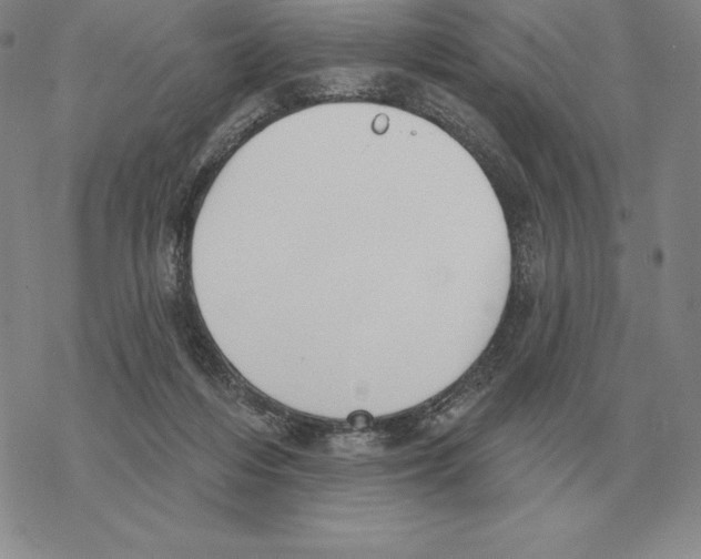 X0000069380216200606091659