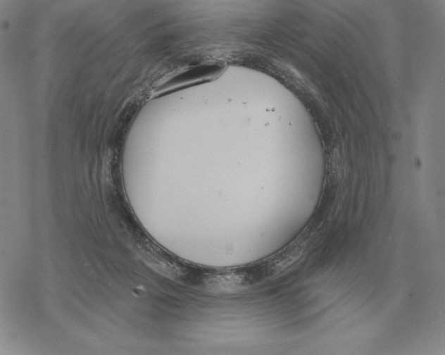 X0000069380217200606091659