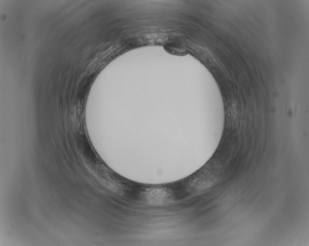 X0000069380218200606091659