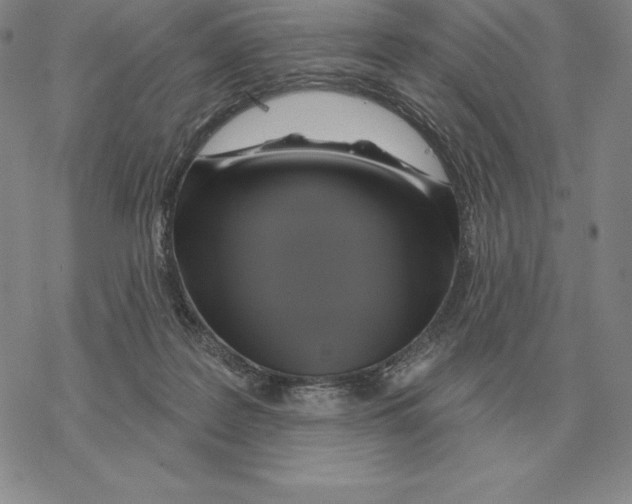 X0000069380219200606091659