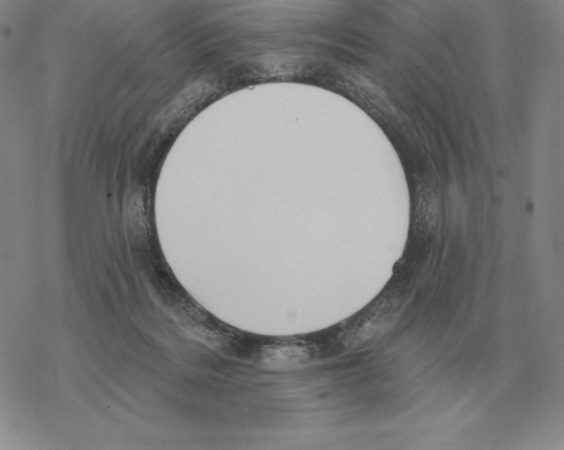 X0000069380220200606091659