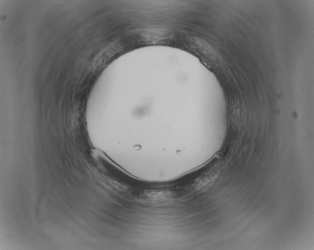 X0000069380221200606091659